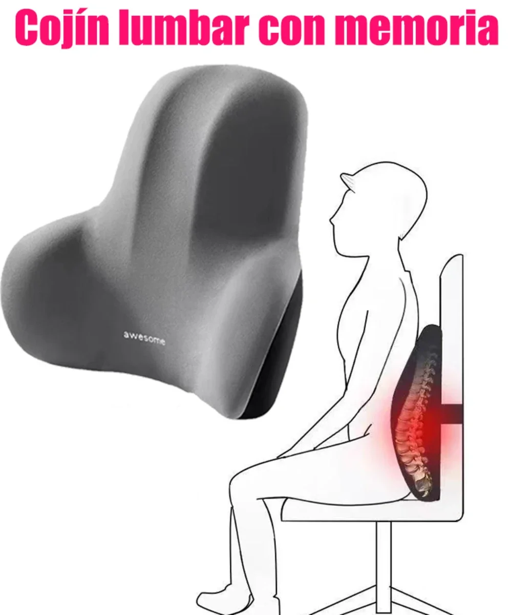 Memory Foam Lumbar Back Cushio - Gaming Chair Lumbar Pillow recension och pris